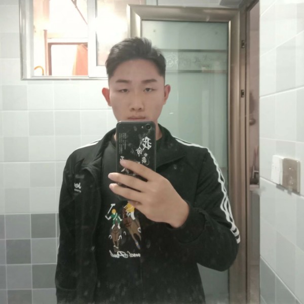 皮卡丘宠物的照片