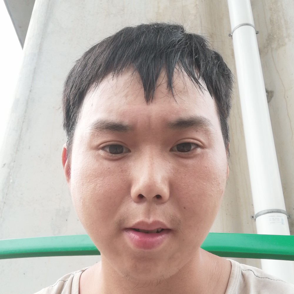 鸡无限的照片
