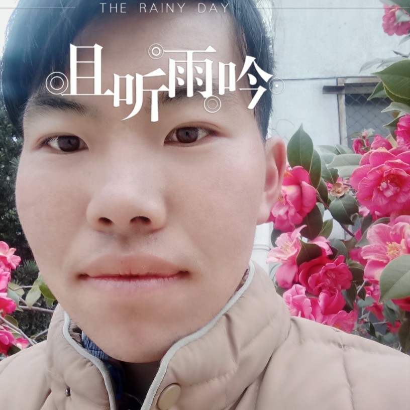 雨落心伤的照片