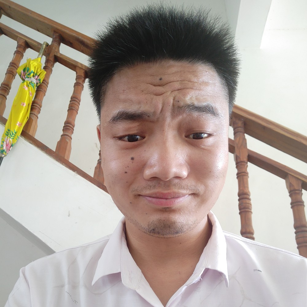 快乐就蚂蚁的照片