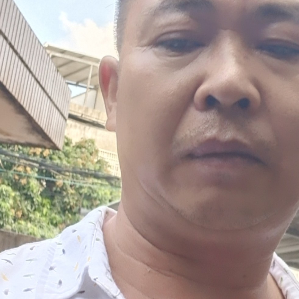 薯片漫步正直的照片