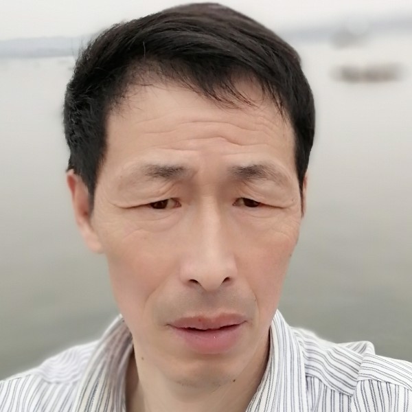 含羞草扯阳光的照片