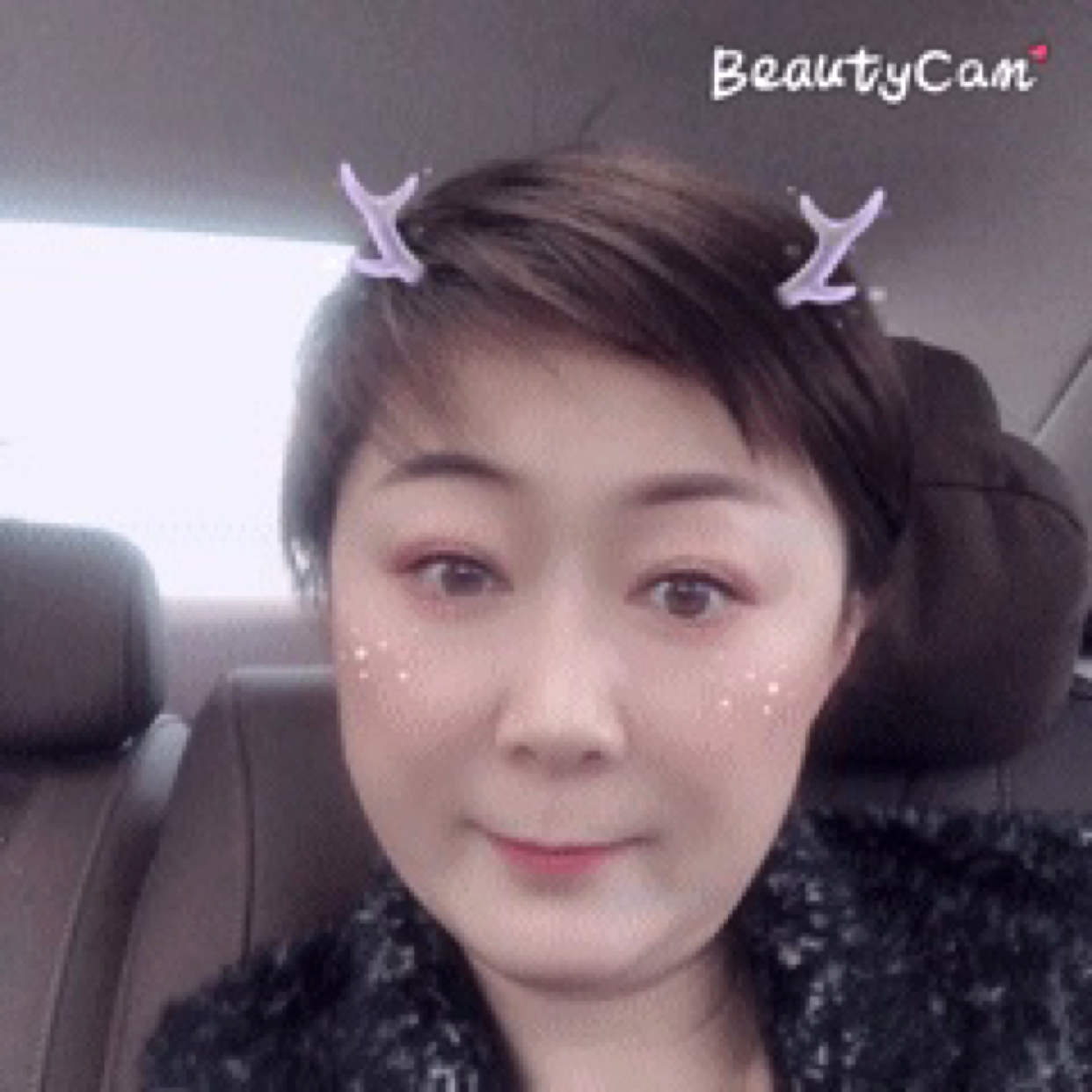 向日内的照片