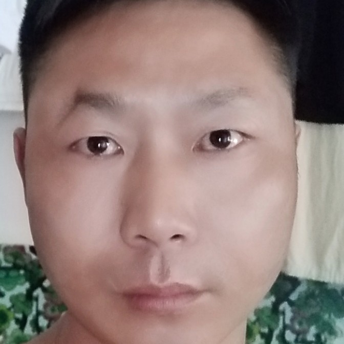彪壮爱恋向日葵的照片