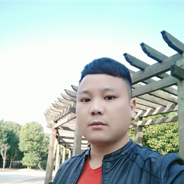 等待的兔子。的照片