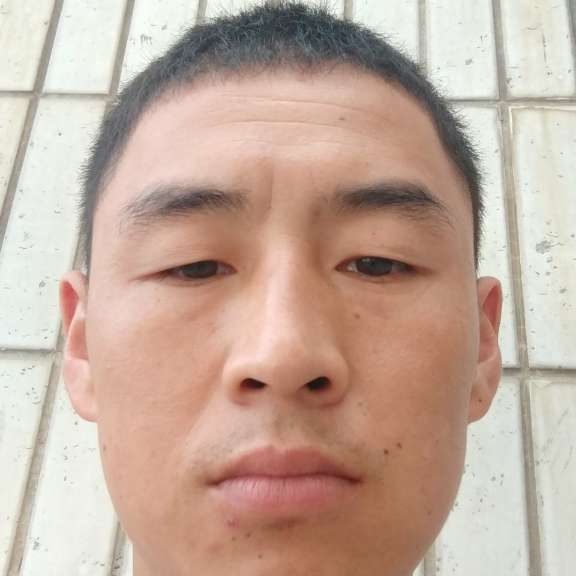钢笔方合适的照片