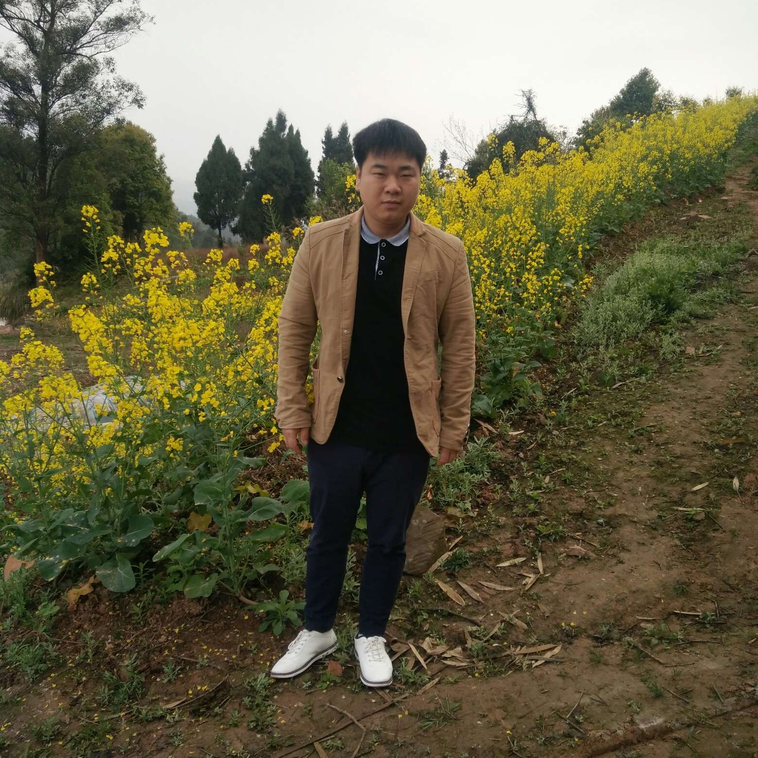 等待倾心小蘑菇的照片