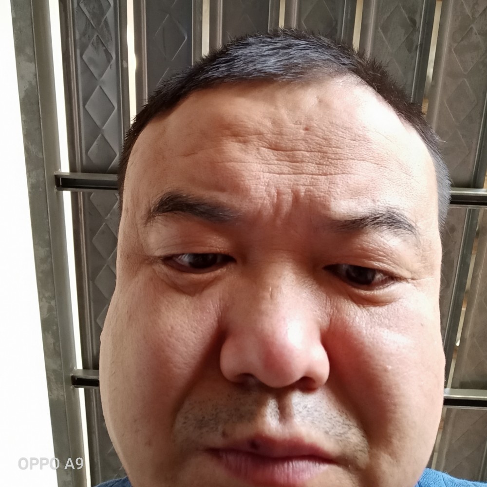 大象阿斌的照片