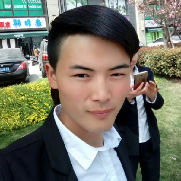 《左左木》的照片