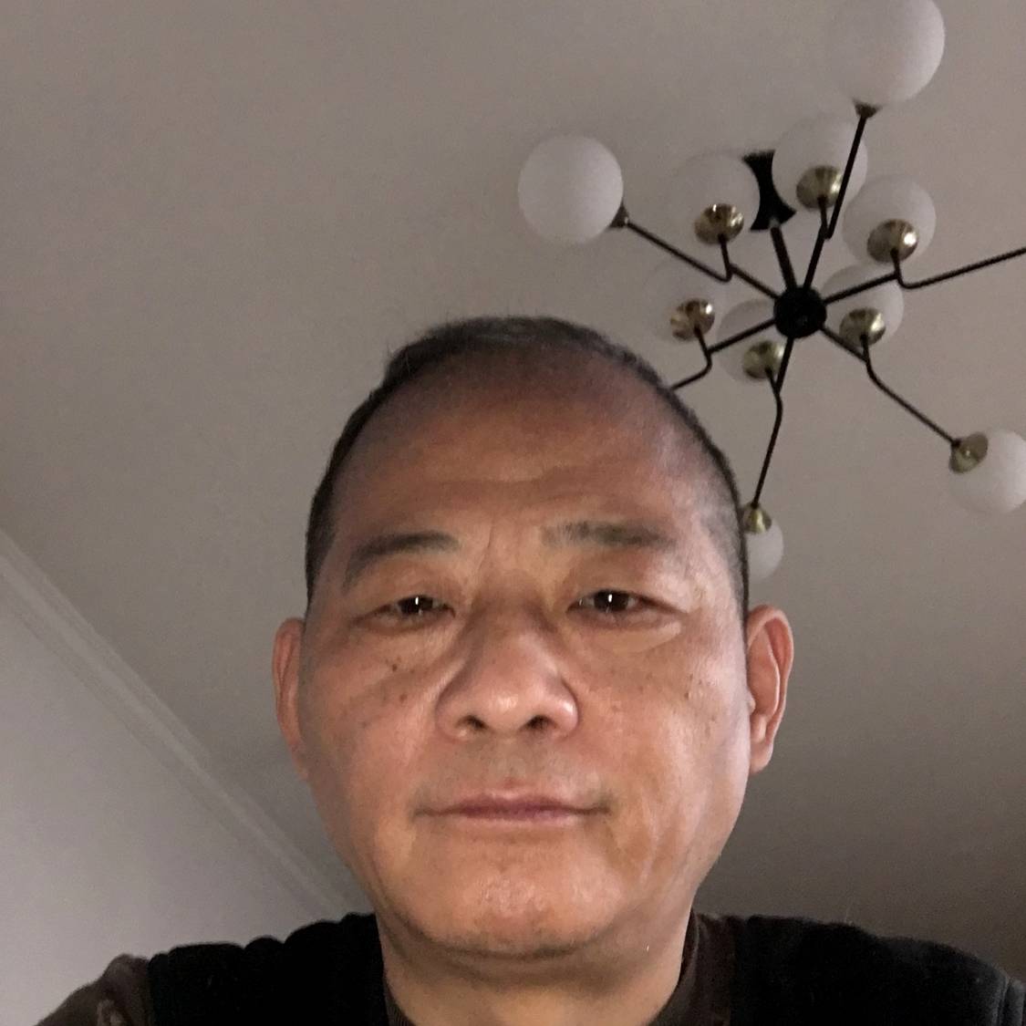 单纯的鱼的照片