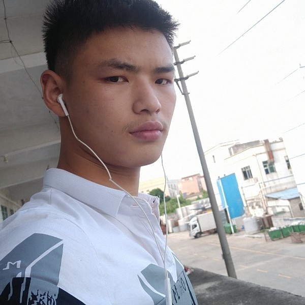 上班的旅游的照片