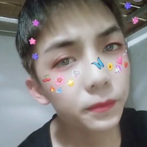 生动停止小鸭子的照片