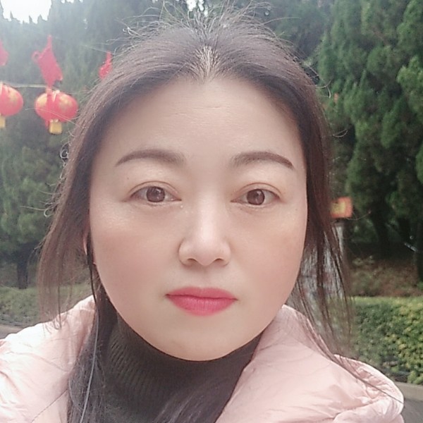 ☀太阳花的照片