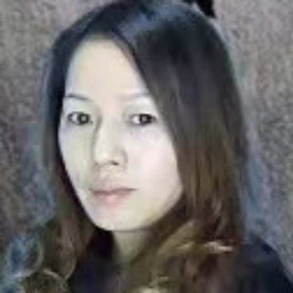 美丽的蔷薇的照片