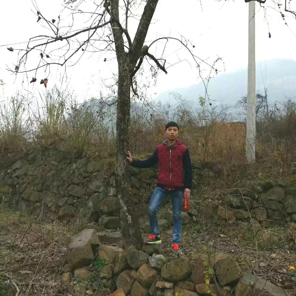 烟花的季节的照片