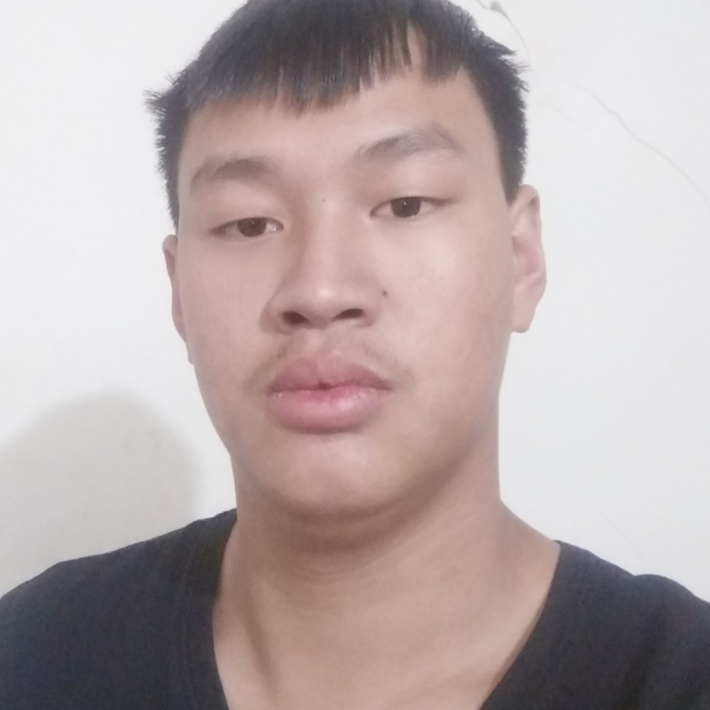 惊鸿快乐的照片