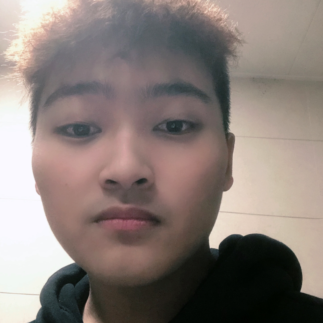 玉螺的照片
