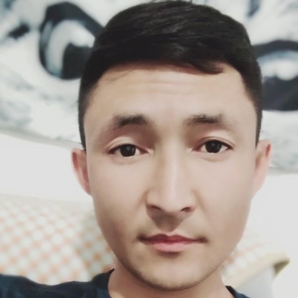 红牛任性的照片