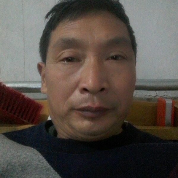 感动树叶的照片