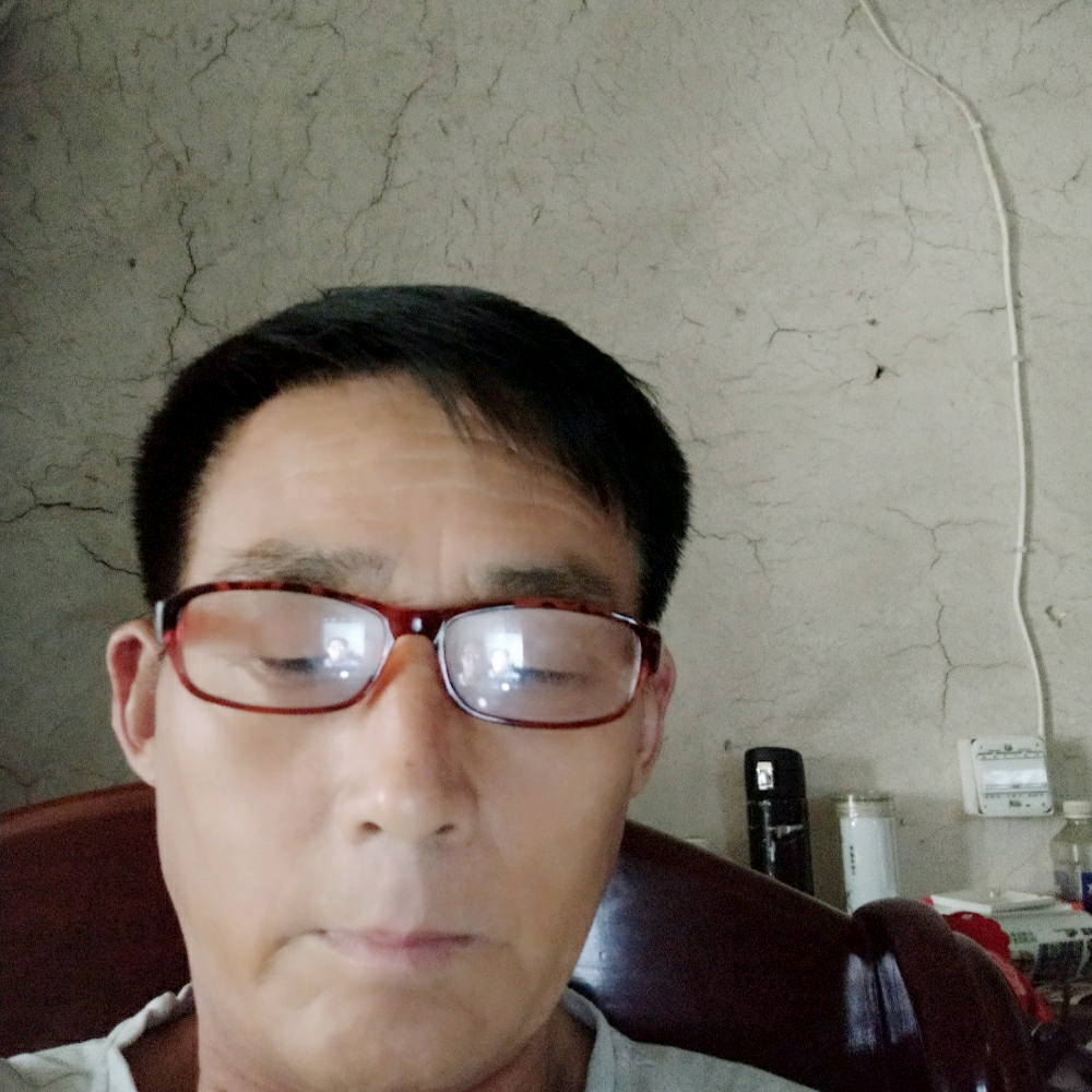 长颈鹿还美丽的照片