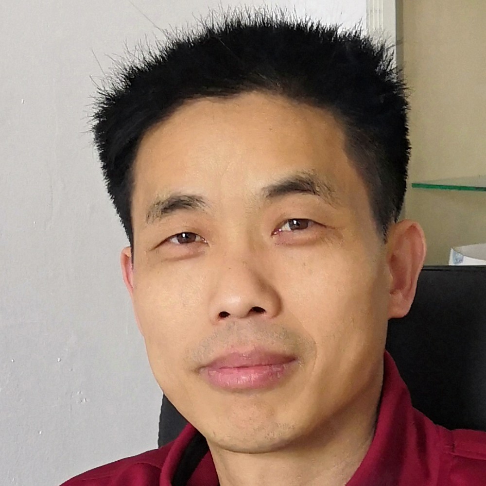 快乐爱恋大象的照片