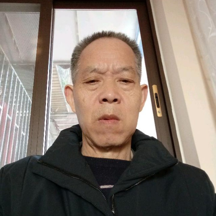 树叶改变感性的照片