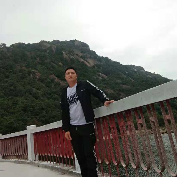 为爱流浪的照片
