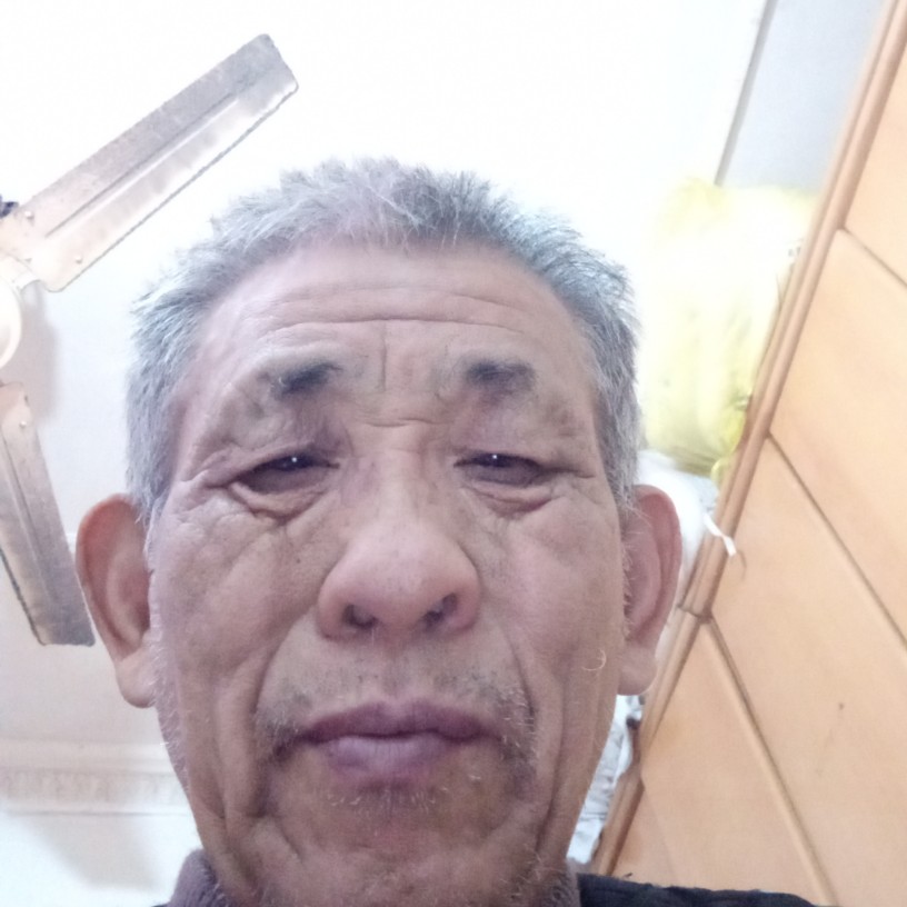 宝马爱贪玩的照片