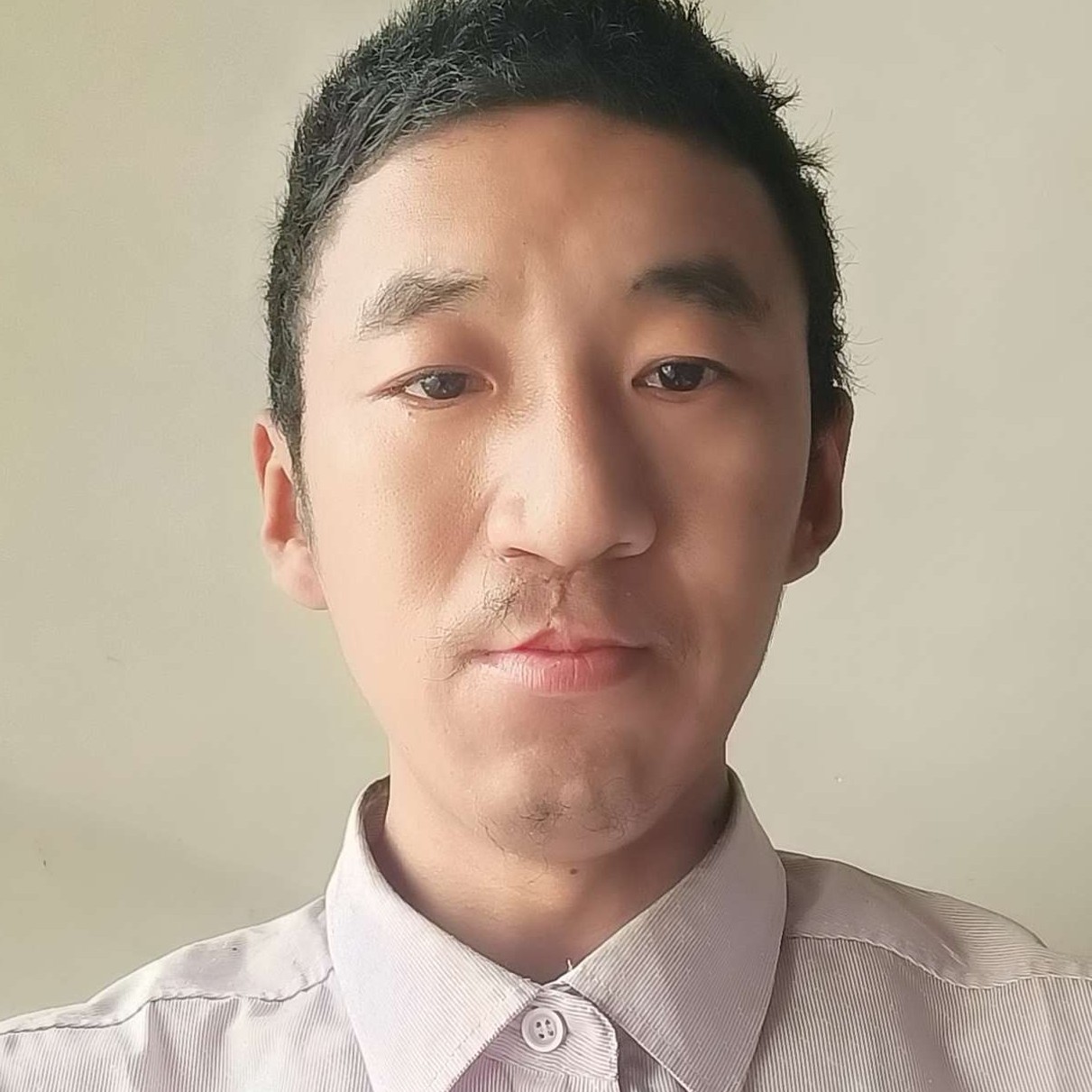 闪闪深拥绿草的照片