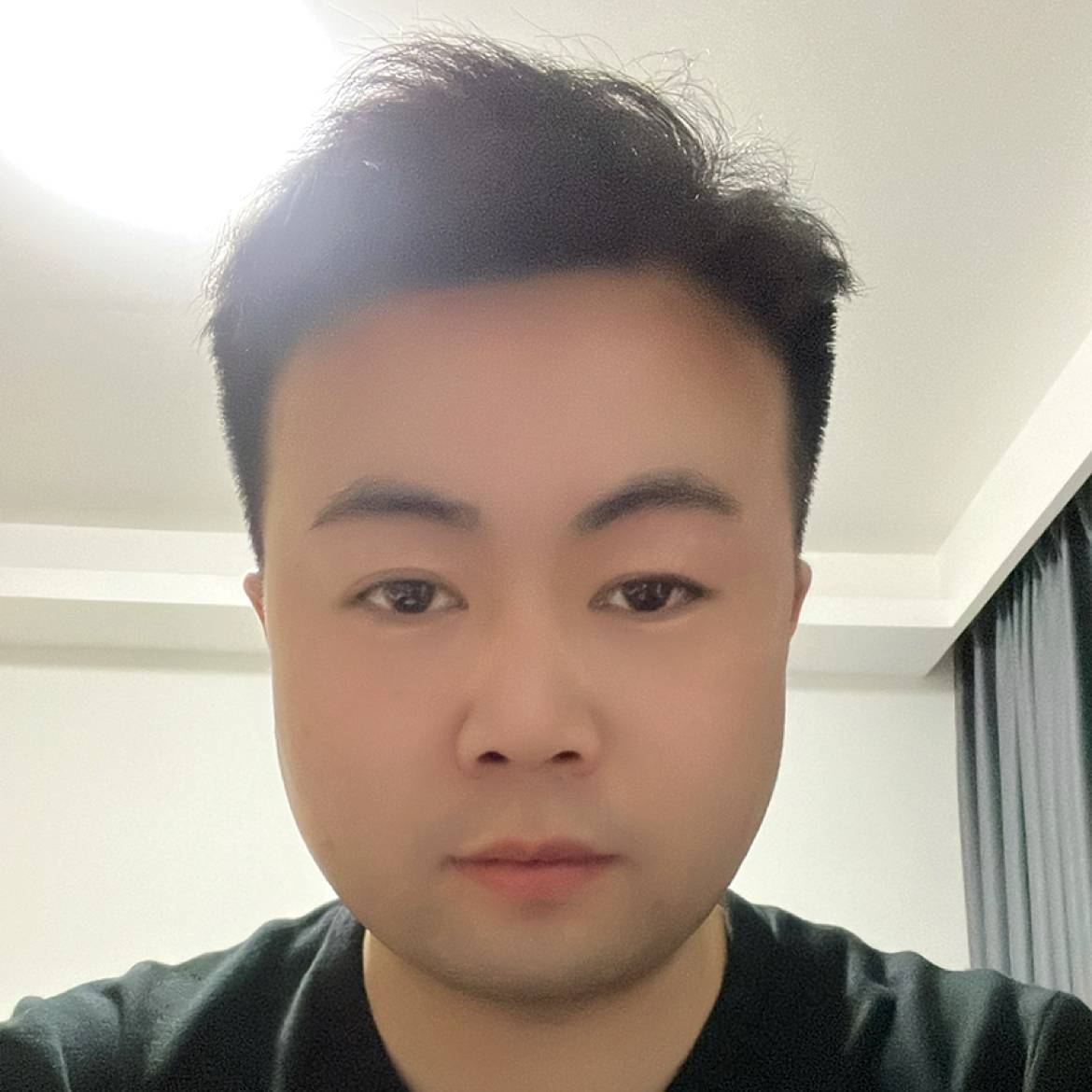 会飞的猫的照片