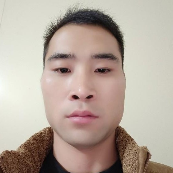 苹果与黑夜的照片