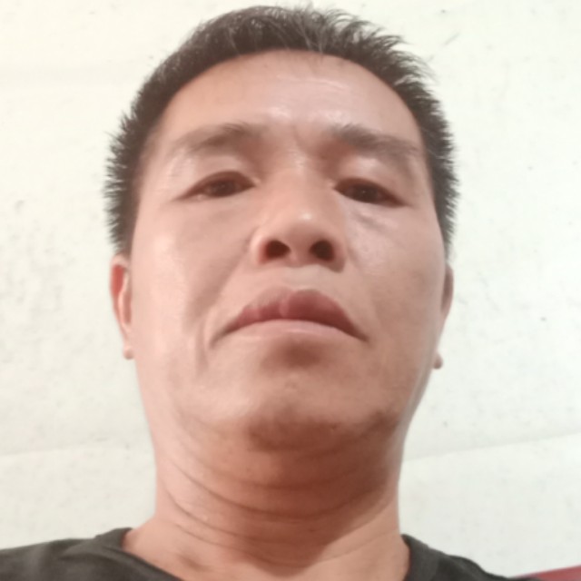 络壳的照片