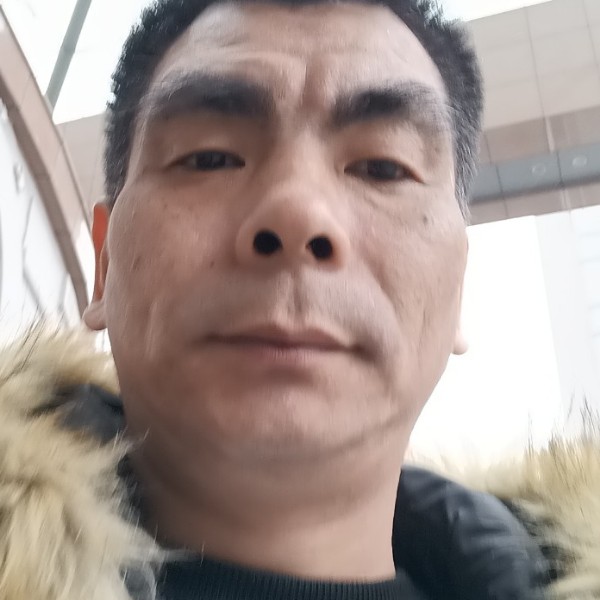细腻演变海燕的照片