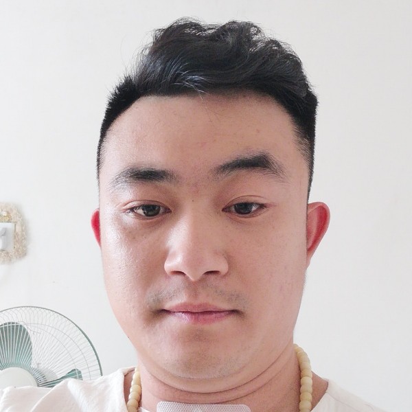小鸽子无情的照片