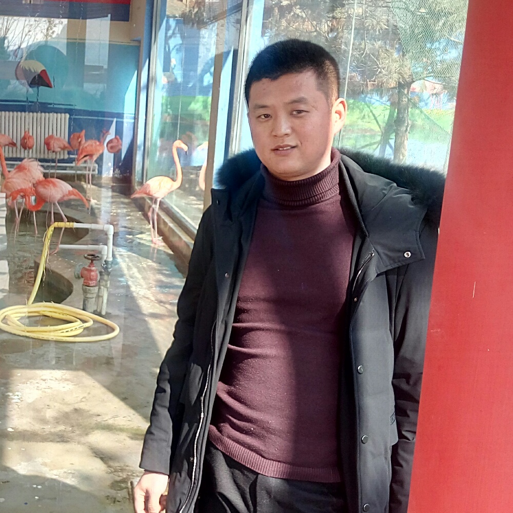 俏皮韶华的照片