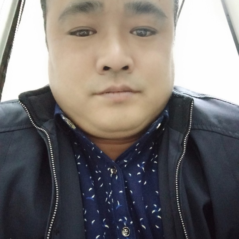 搞怪小懒虫的照片