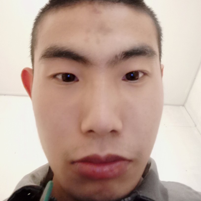 向日葵挽手安静的照片