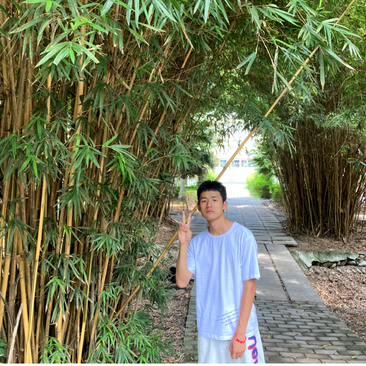 卡莎的照片