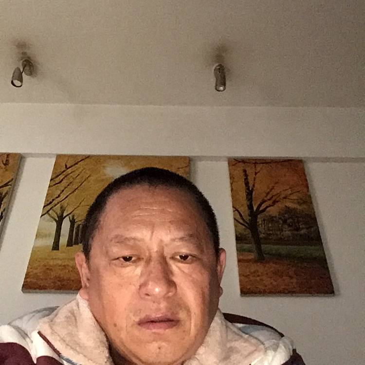 青藤哥的照片
