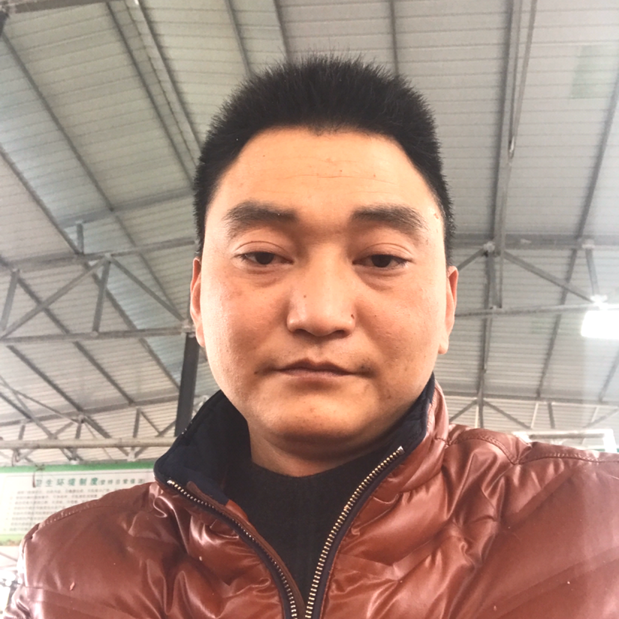西装听话的照片