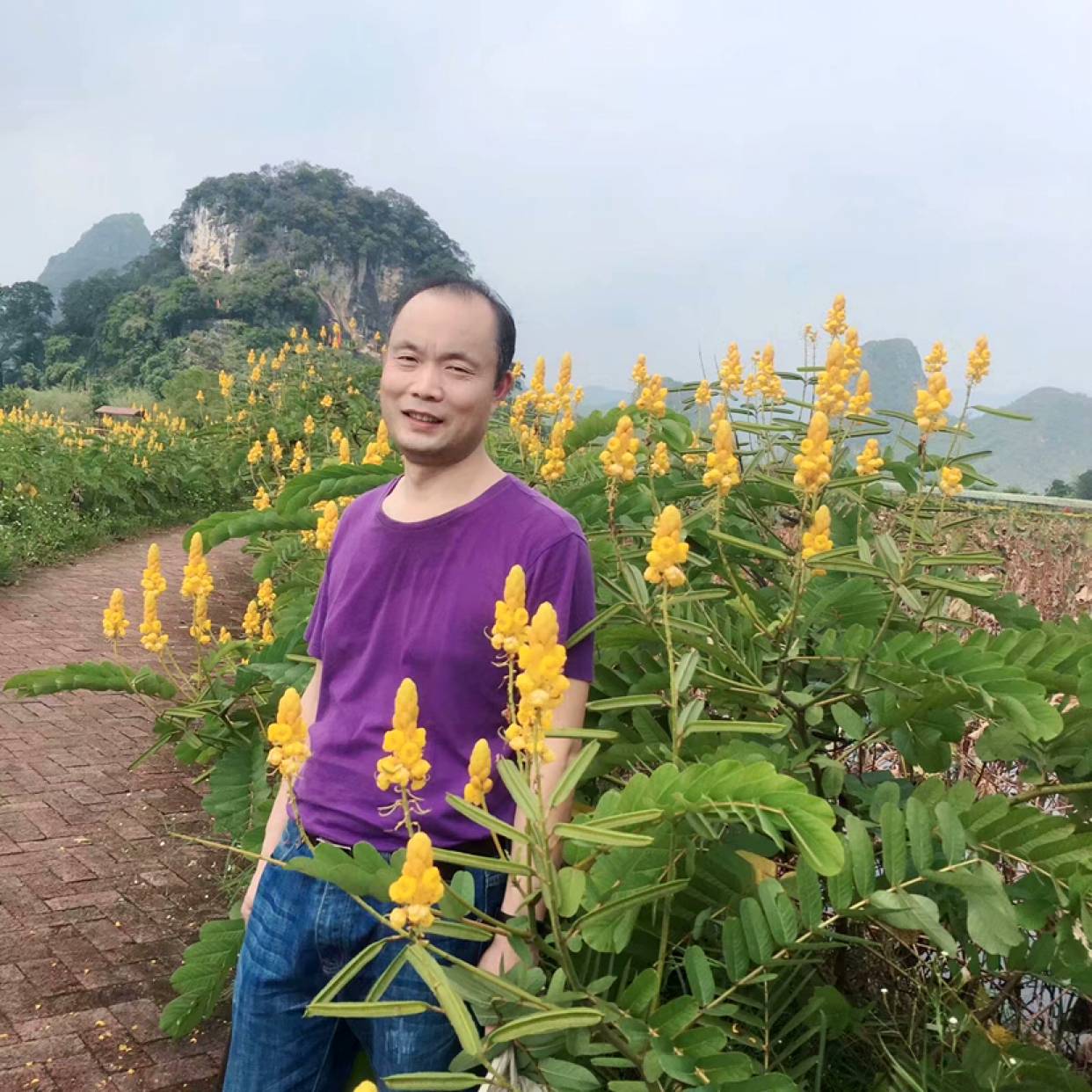 甜美漫步中心的照片