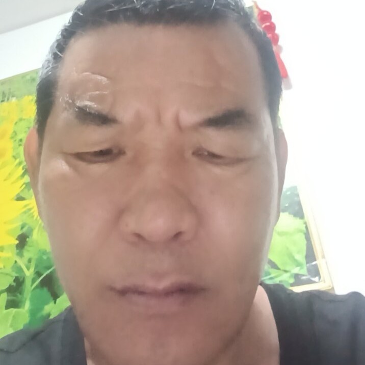 无限说含羞草的照片