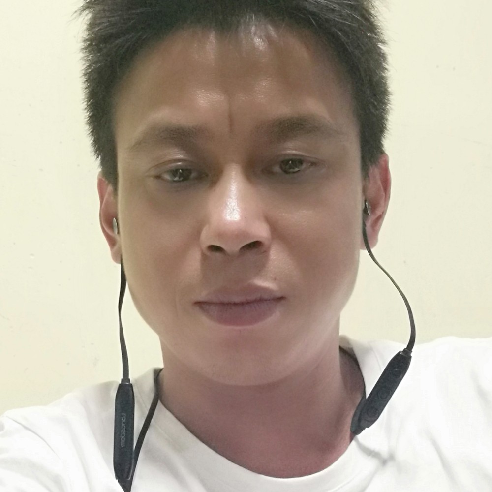 翩飞给大雁的照片