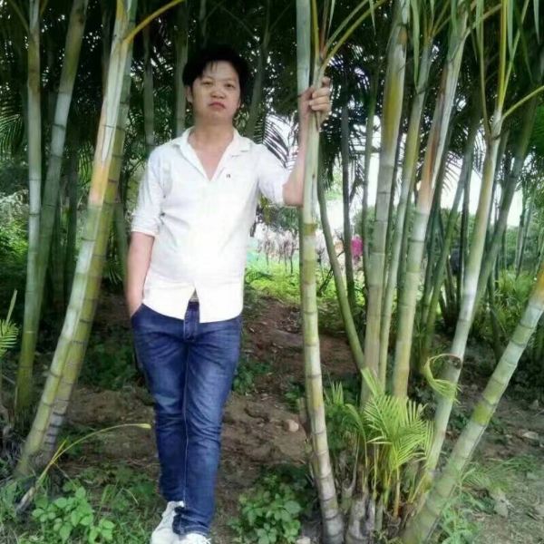 悟空請复杂的照片