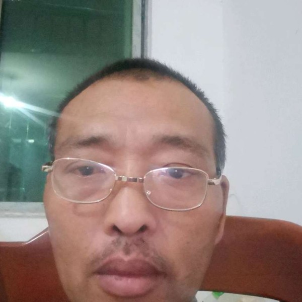 刺猬拾忆独寂的照片