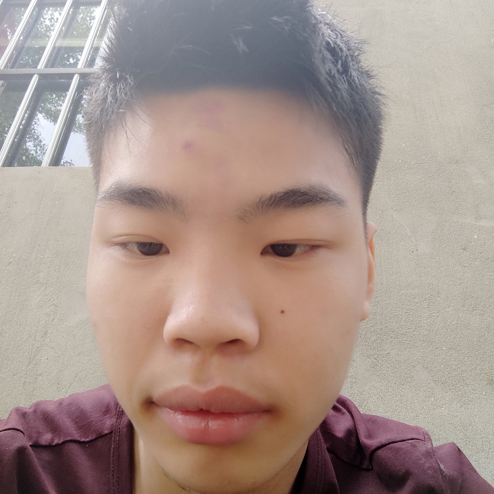 超帅演变长颈鹿的照片