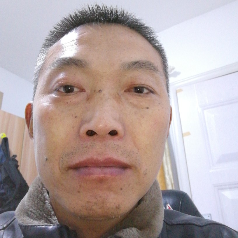 白猫欢喜的照片