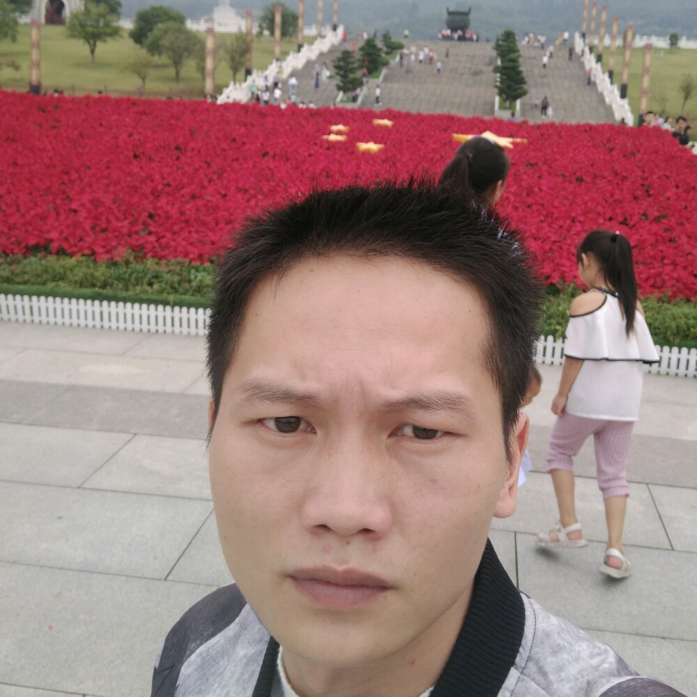 疯狂方苗条的照片