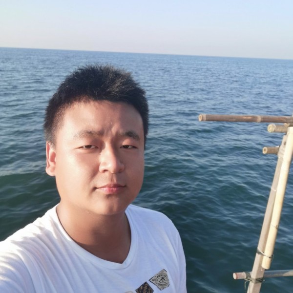 阳光漫步犀牛的照片