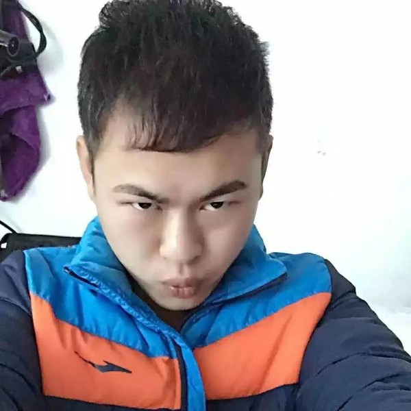 大雁回眸着急的照片